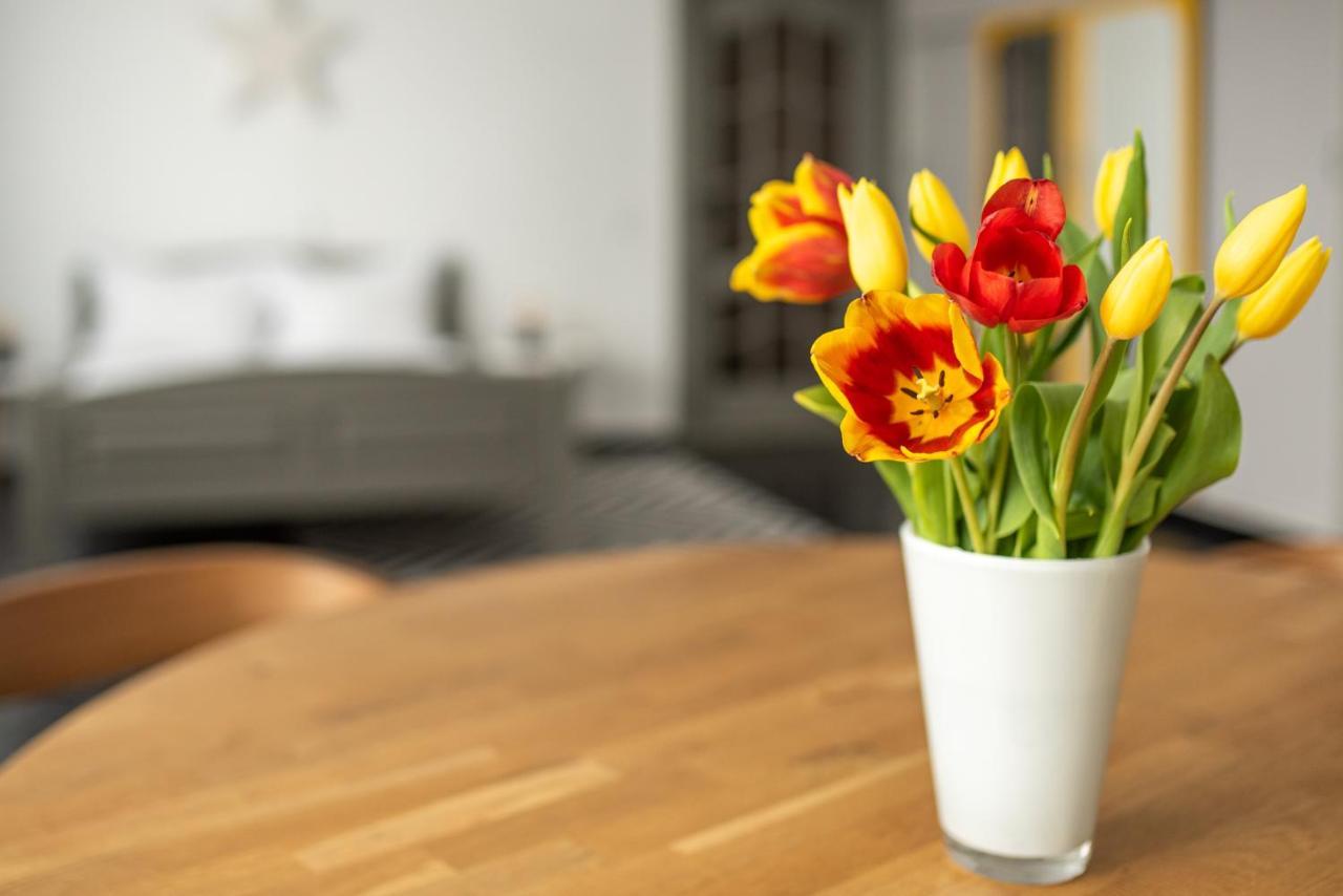 Spacious Ultracentral Apartment Cluj-Napoca Luaran gambar